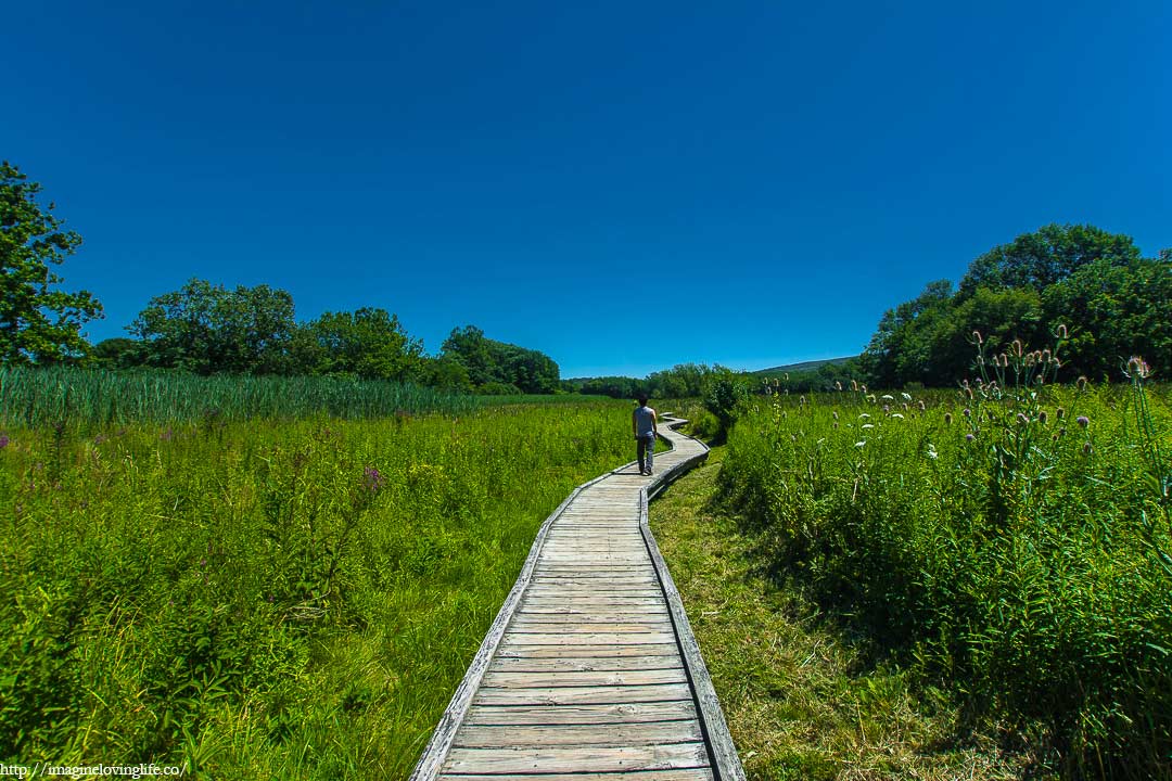 pochuck boardwalk